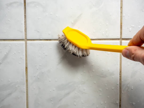 Best Local Mold Removal Service  in Gettysburg, PA