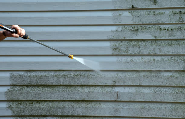 Best Attic Mold Removal  in Gettysburg, PA