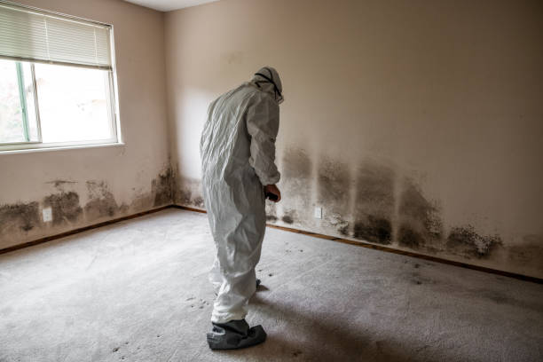 Best Office Mold Removal Services  in Gettysburg, PA