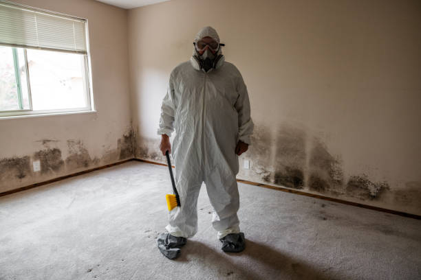 Office Mold Removal Services in Gettysburg, PA